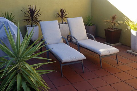 High On Penguin - Tourism Hervey Bay 6