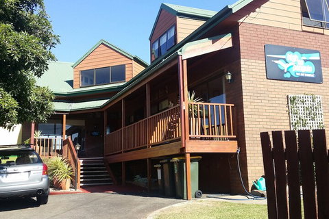 High On Penguin - Tourism Hervey Bay 1