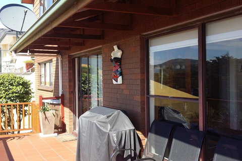 High On Penguin - Tourism Hervey Bay 7