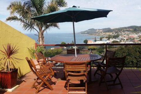 High On Penguin - Tourism Hervey Bay 0