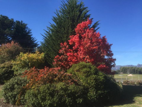 Highgrove - Hervey Bay Accommodation 2