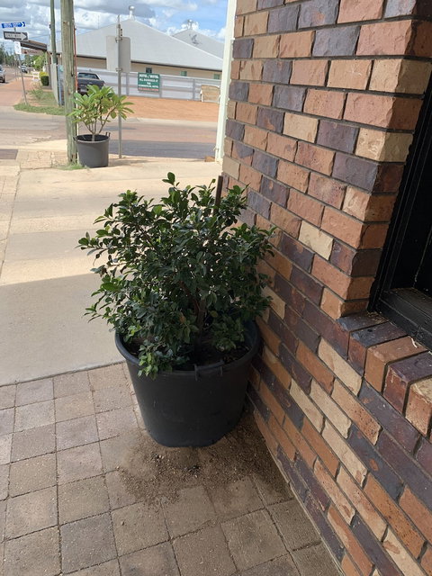 Central Motel - Hervey Bay Accommodation 0