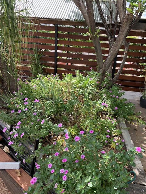 Central Motel - Hervey Bay Accommodation 3