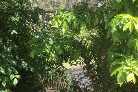 Central Wangaratta Motel - Hervey Bay Accommodation 3