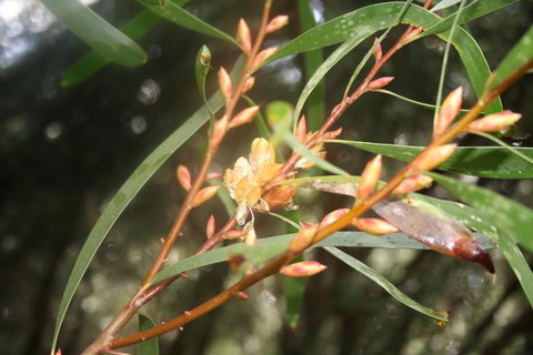 Heavenly Retreat - Hervey Bay Accommodation 5