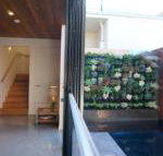 Stella on Stevens - Hervey Bay Accommodation
