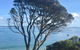 Cowes On The Bay - thumb 0