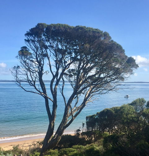 Cowes On The Bay - Hervey Bay Accommodation 0