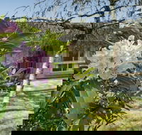 Wentworth Rose - Tourism Hervey Bay