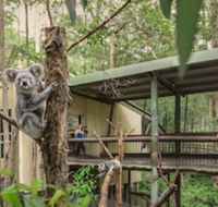 Springwood Meditation Vacation Center - Tourism Hervey Bay