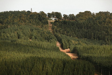 Nannup Hideaway - Hervey Bay Accommodation 4