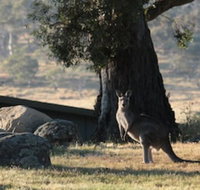 Ecocrackenback 2 Sustainable chalet close to the slopes. - Hervey Bay Accommodation
