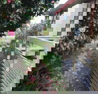 The Glen Family House - Hervey Bay Accommodation