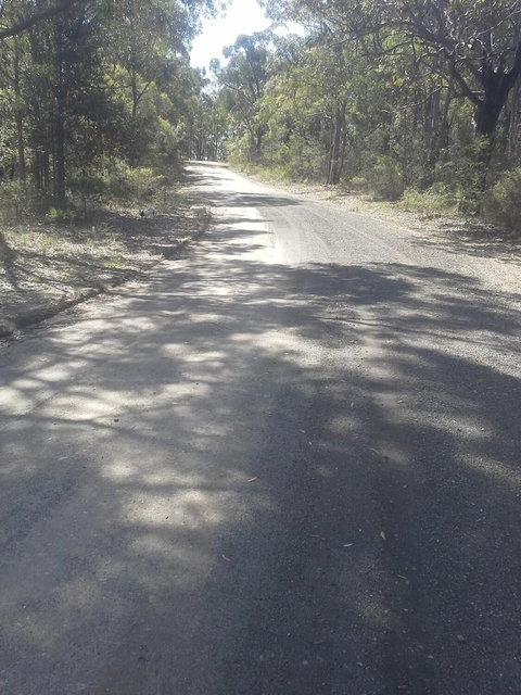 Sunsetcottages - Tourism Hervey Bay 5