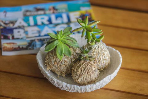 Airlie Guest House - Tourism Hervey Bay 1