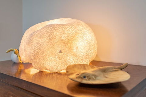 Airlie Guest House - Tourism Hervey Bay 2