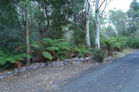 Roland B&B - Hervey Bay Accommodation 4