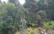 Roland B&B - thumb 1