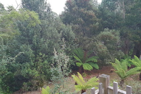 Roland B&B - Hervey Bay Accommodation 1