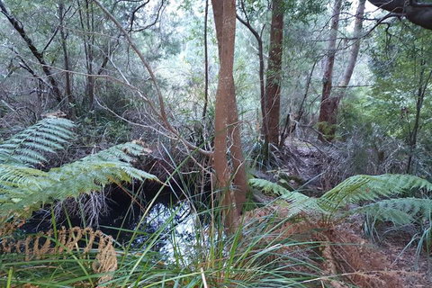 Roland B&B - Hervey Bay Accommodation 5