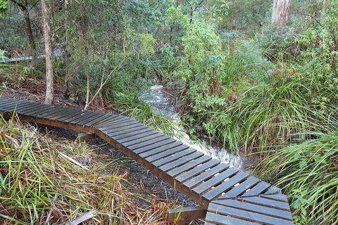 Roland B&B - Hervey Bay Accommodation 6