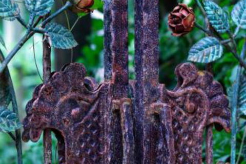 Whitsundays Bnb Retreat - Hervey Bay Accommodation 6