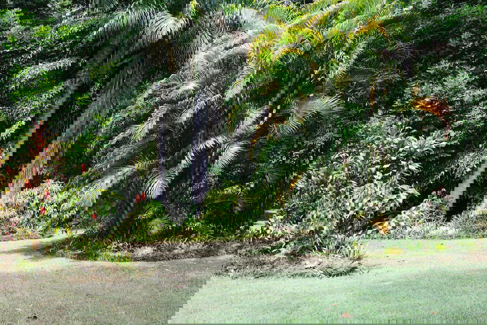 The Pocket NSW Tourism Hervey Bay