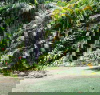 Sanctuary in The Pocket - Tourism Hervey Bay