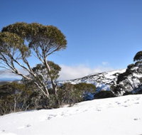 Alpine Heights 9 - Hervey Bay Accommodation