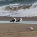 Baillieu Breeze - Hervey Bay Accommodation 0