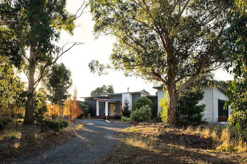 Arya - Tourism Hervey Bay 1