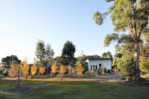 Arya - Tourism Hervey Bay 3