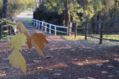 Brockman Park Estate - Hervey Bay Accommodation 3