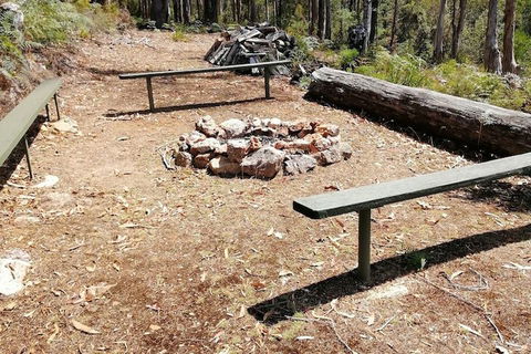 Minnow Cabins - Tourism Hervey Bay 5