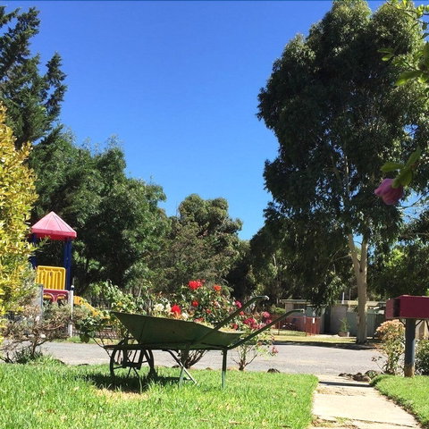 Acacia Caravan Park - Hervey Bay Accommodation 6