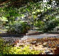 Country Comfort Bundaberg - Hervey Bay Accommodation