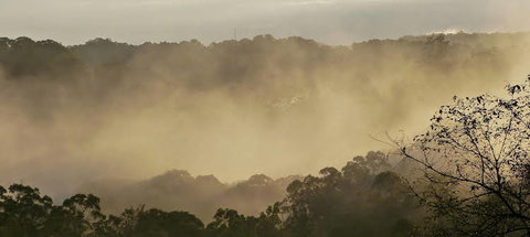 Simba Sunrise Bed & Breakfast - Hervey Bay Accommodation 1
