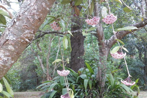 Crabbes Creek Cottages - Tourism Hervey Bay 5