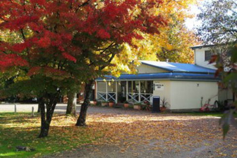 Porepunkah Pines Holiday Park - Hervey Bay Accommodation 0