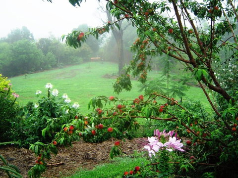 French Cottage & Loft - Hervey Bay Accommodation 4
