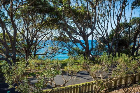 Magical Mystery Bay Road - Tourism Hervey Bay 4