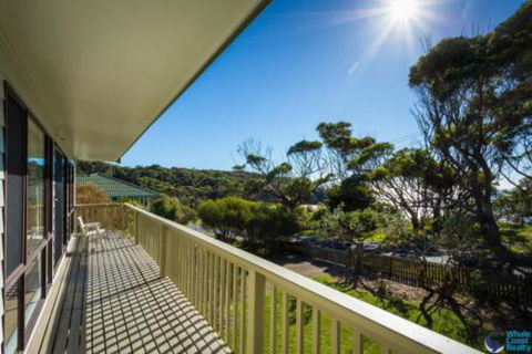 Magical Mystery Bay Road - Tourism Hervey Bay 5
