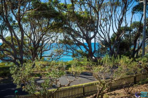 Magical Mystery Bay Road - Tourism Hervey Bay 6