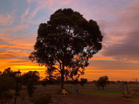 Melbourne Garden Bed & Breakfast - Hervey Bay Accommodation 1