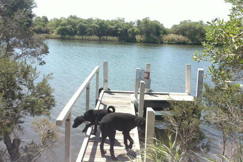 River Cottage Eagle Point - Tourism Hervey Bay 2
