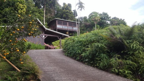 Daintree Holiday Homes La Vista - Hervey Bay Accommodation 4