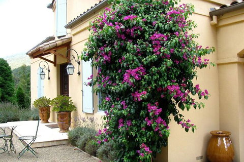 Casa Valeri - Hervey Bay Accommodation 3