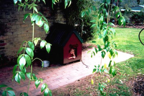 Kurrajong Trails And Cottages - Hervey Bay Accommodation 1