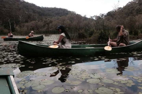 Kurrajong Trails And Cottages - Hervey Bay Accommodation 3