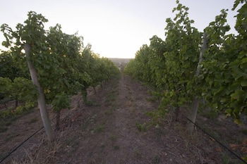 Barristers Block Vigneron Villa - Hervey Bay Accommodation 4